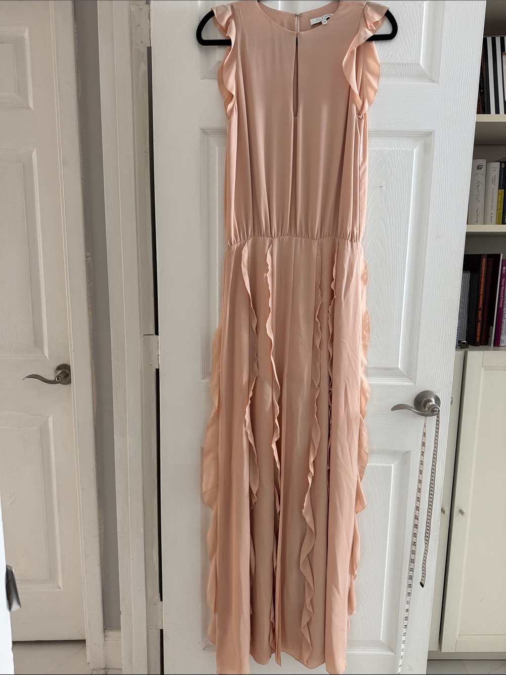 Alexis Blush Pink Ruffle Maxi Dress
Size : S